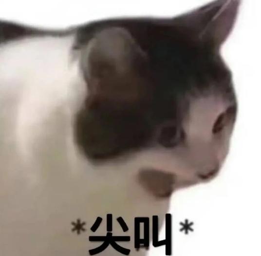DƬ
